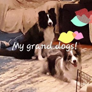 Meet your Posher, Jill